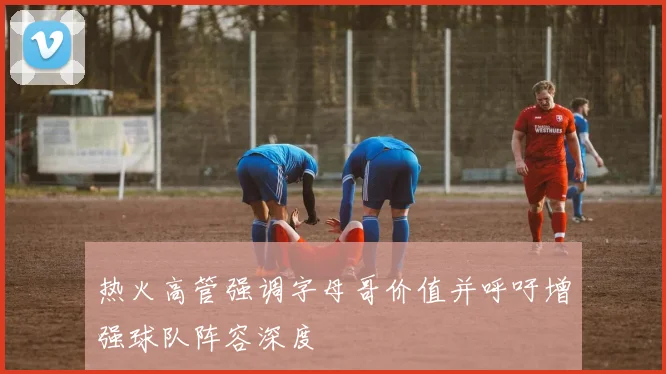 热火高管强调字母哥价值并呼吁增强球队阵容深度